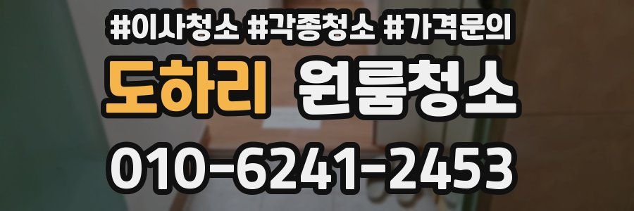 도하리 이사청소