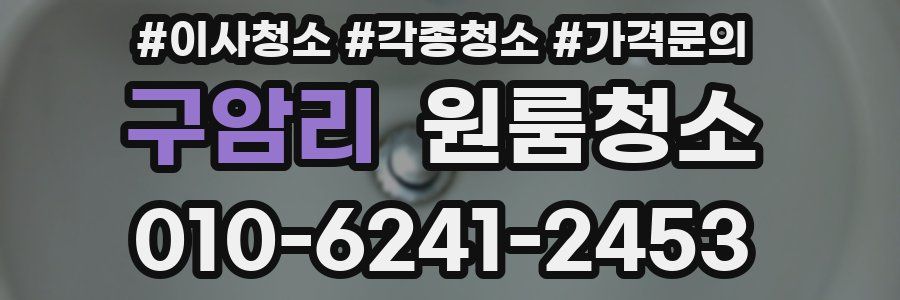 구암리 이사청소