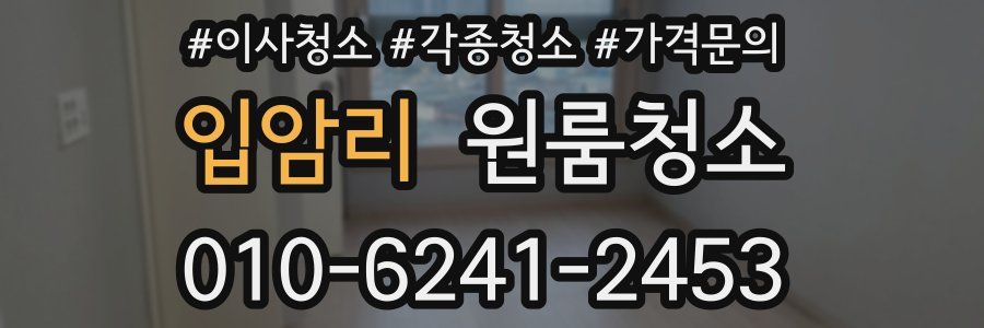 입암리 이사청소