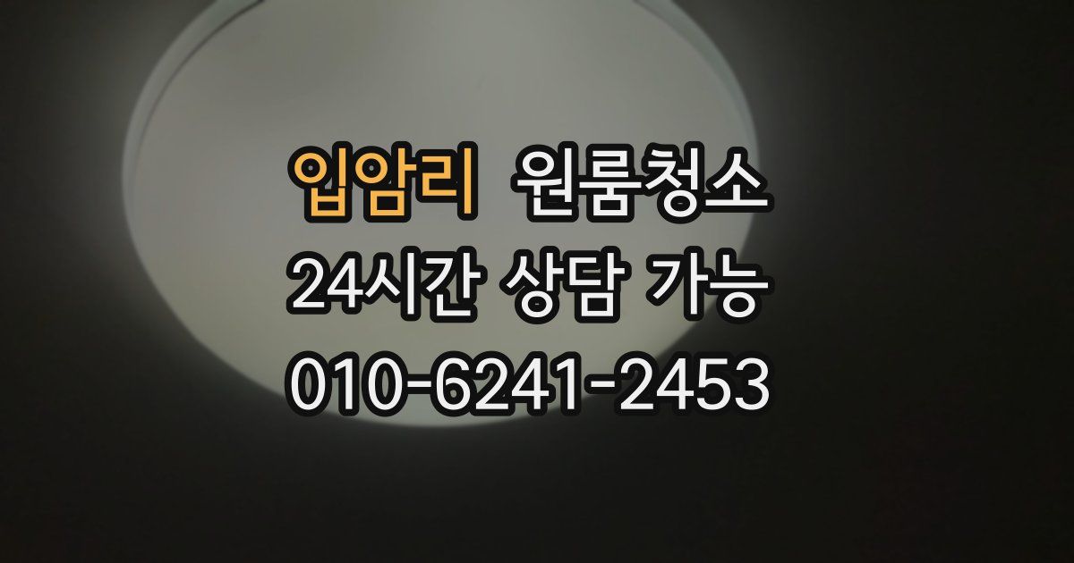 입암리 입주청소