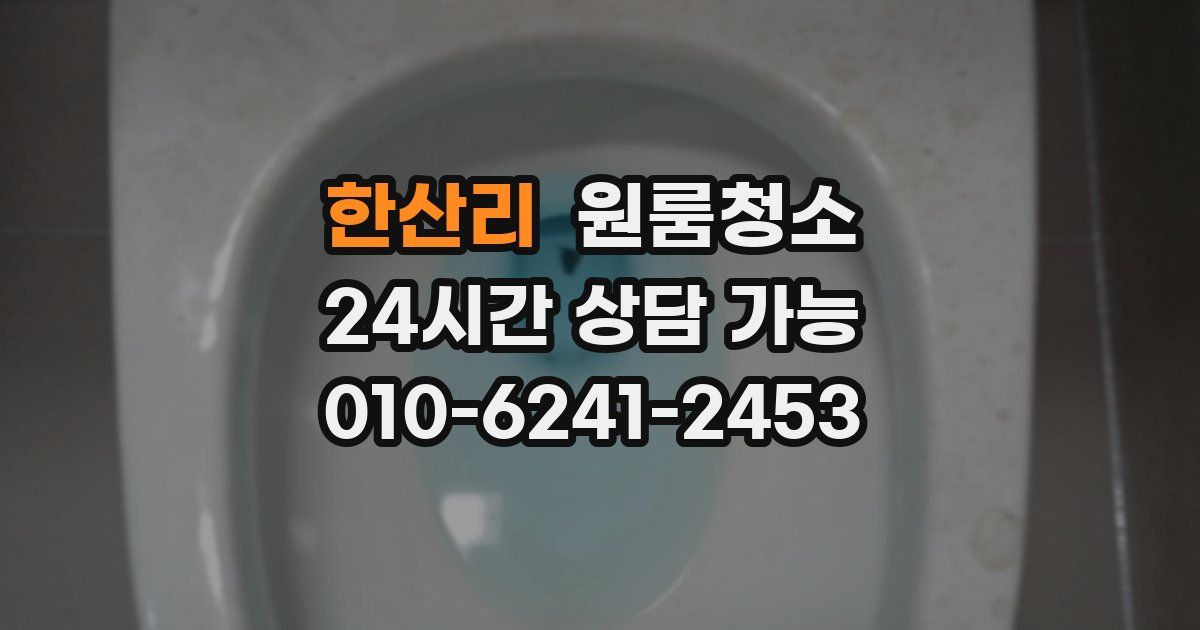 한산리 입주청소