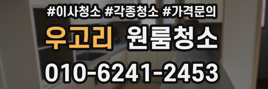 우고리 이사청소