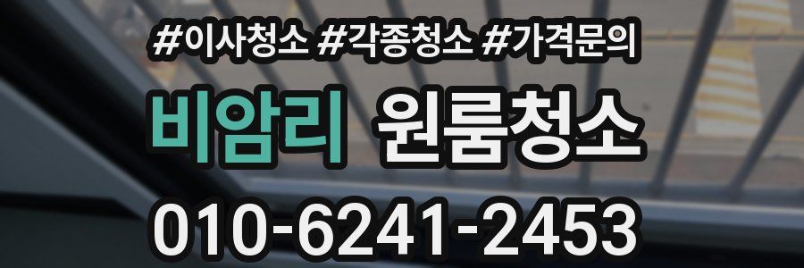 비암리 이사청소