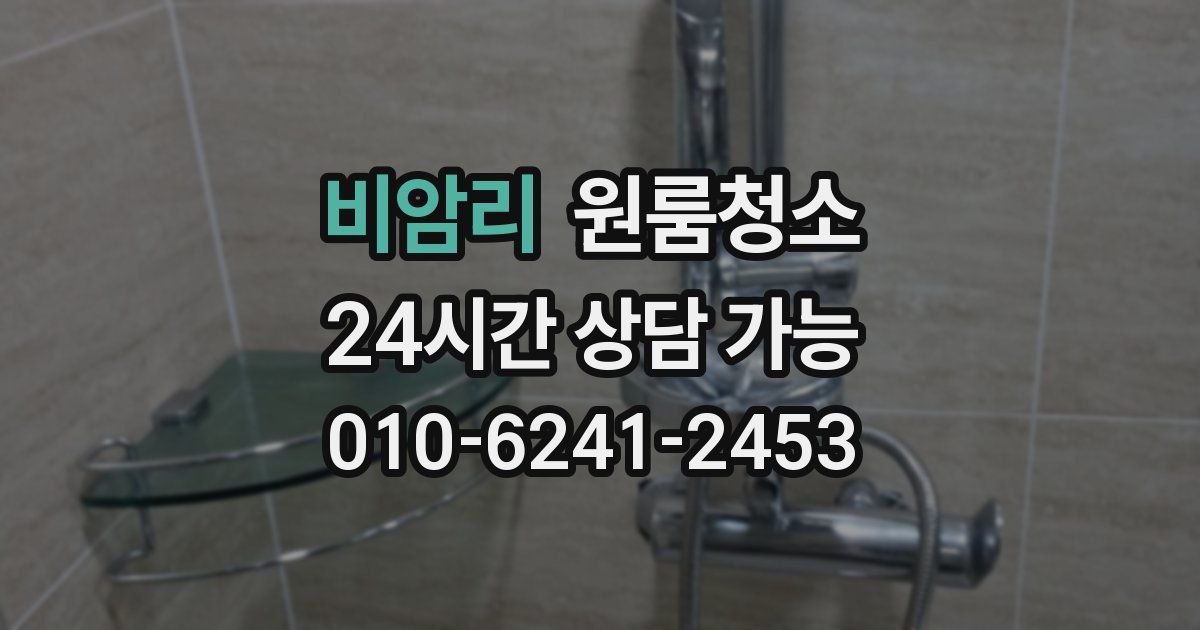 비암리 입주청소