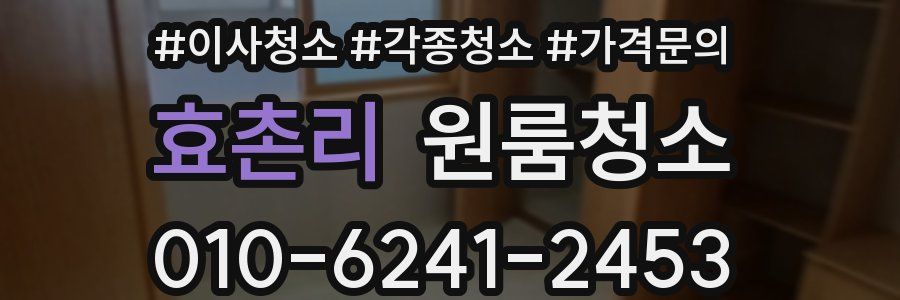 효촌리 이사청소