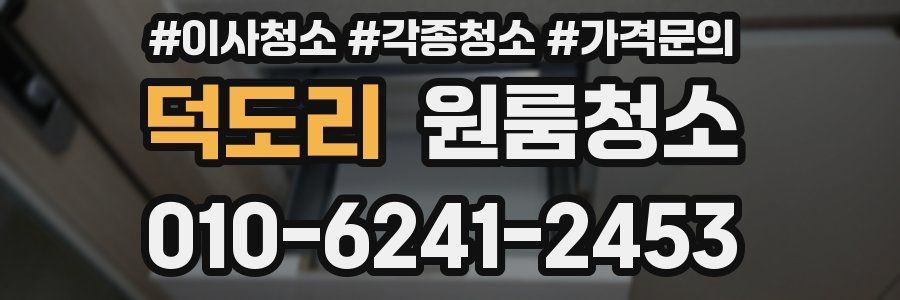 덕도리 이사청소