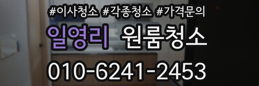 일영리 이사청소