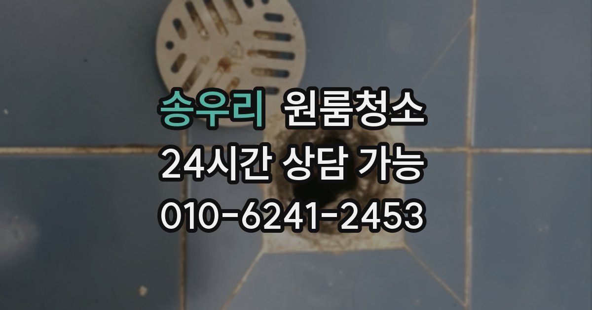 송우리 입주청소