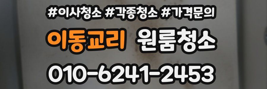 이동교리 이사청소