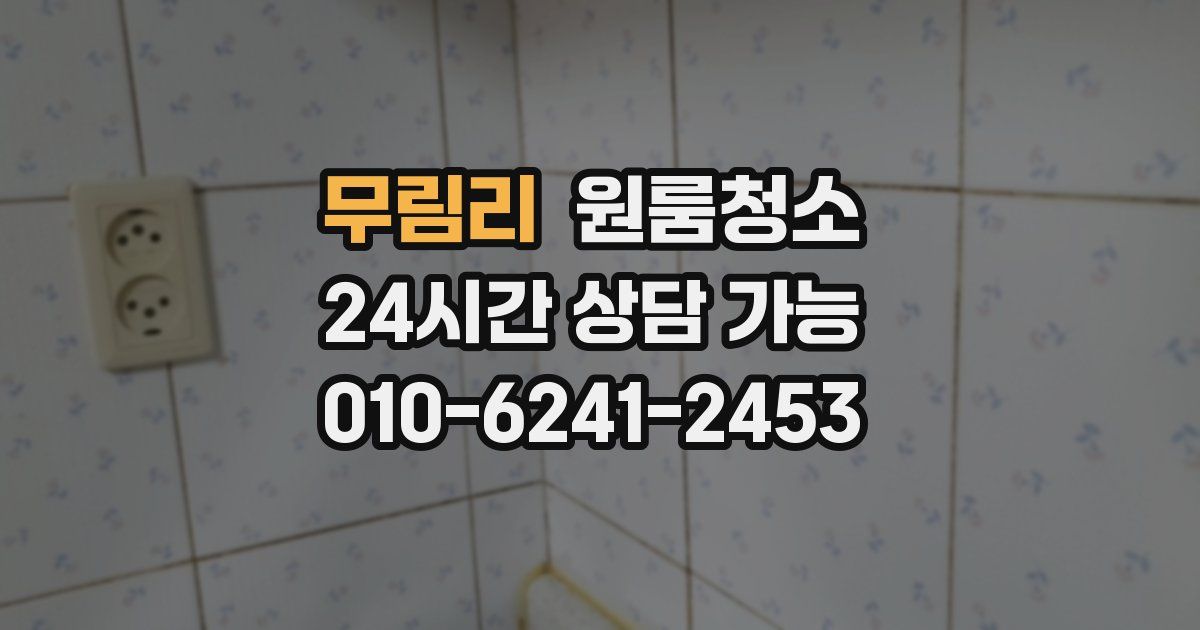 무림리 입주청소