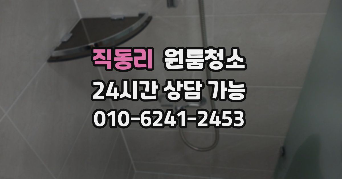 직동리 입주청소