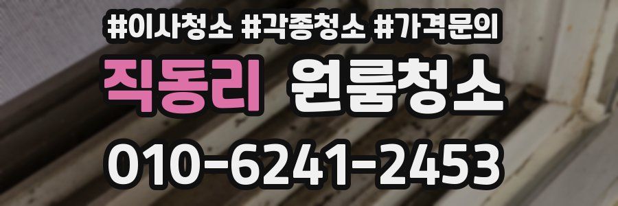 직동리 이사청소