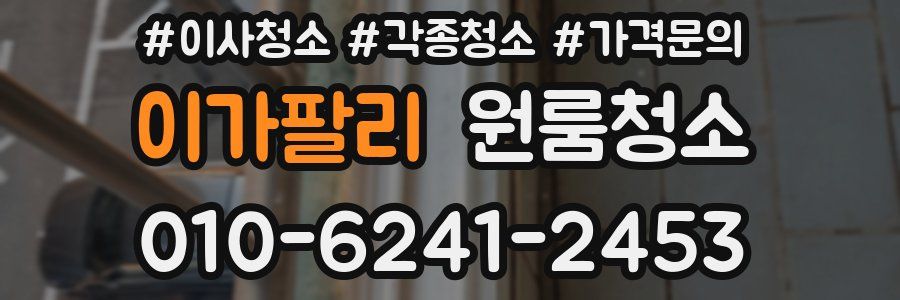 이가팔리 이사청소