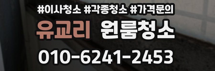 유교리 이사청소
