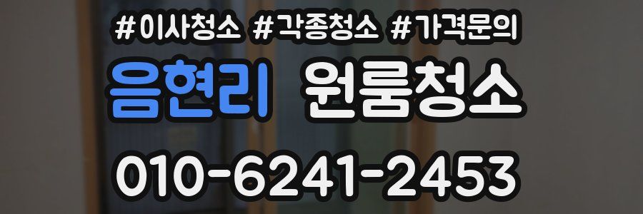 음현리 이사청소