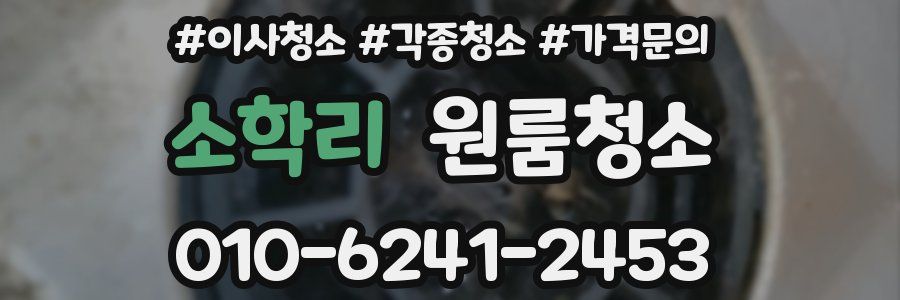 소학리 이사청소
