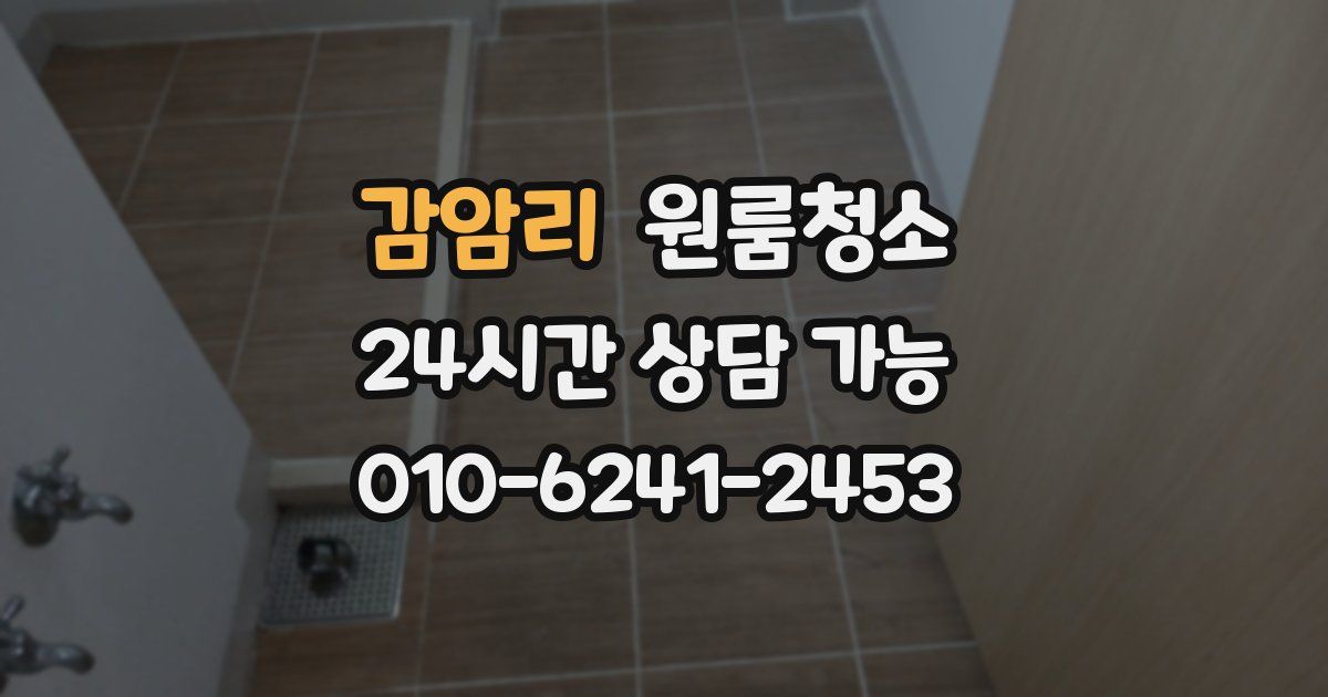 감암리 입주청소