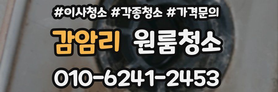 감암리 이사청소