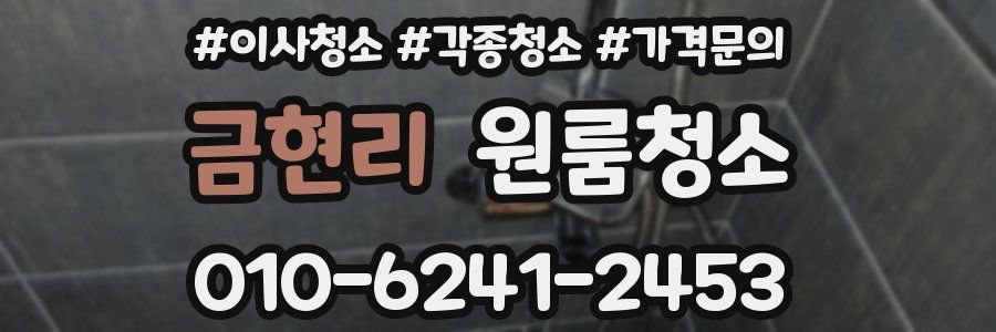 금현리 이사청소