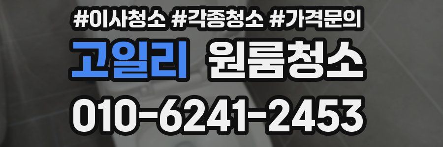 고일리 이사청소