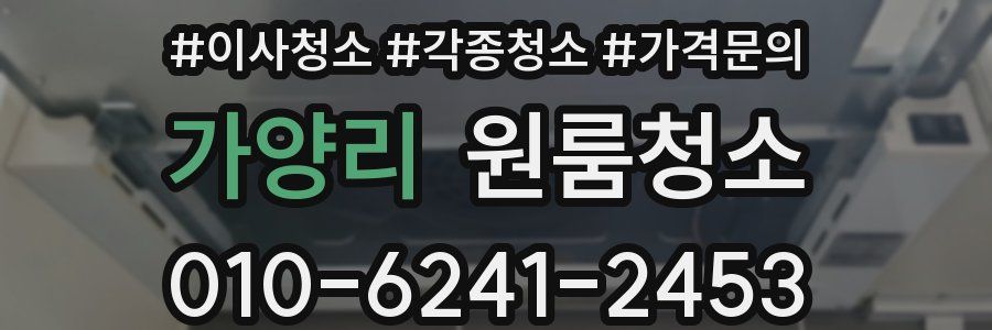 가양리 이사청소