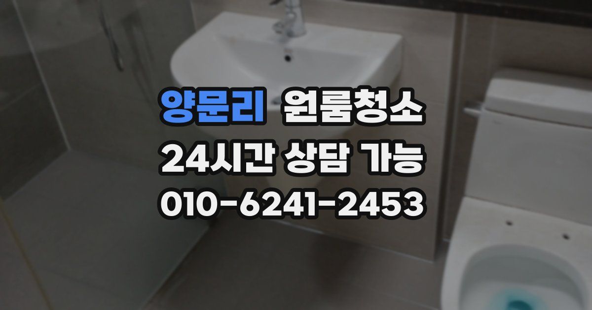 양문리 입주청소