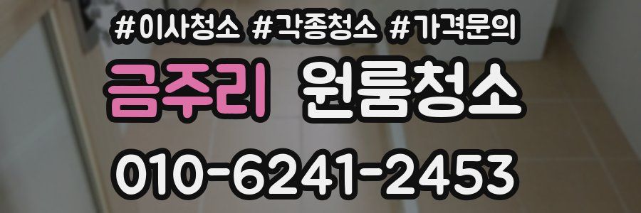 금주리 이사청소