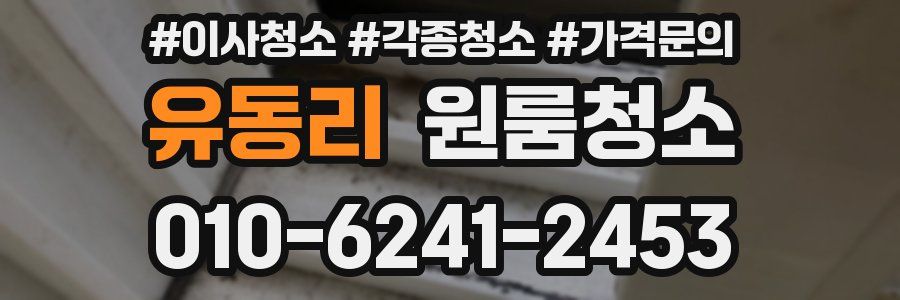 유동리 이사청소