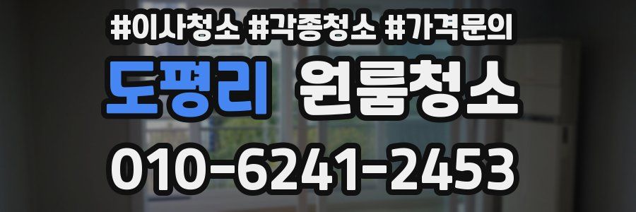 도평리 이사청소