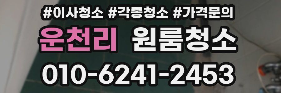 운천리 이사청소