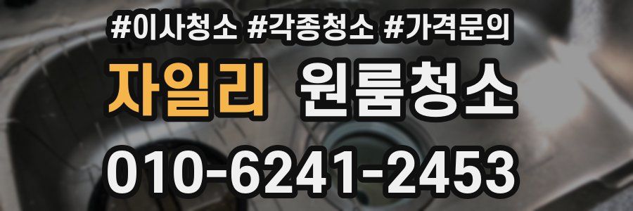 자일리 이사청소