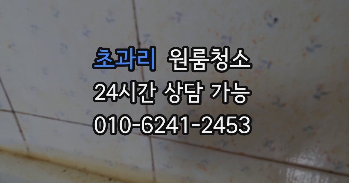 초과리 입주청소