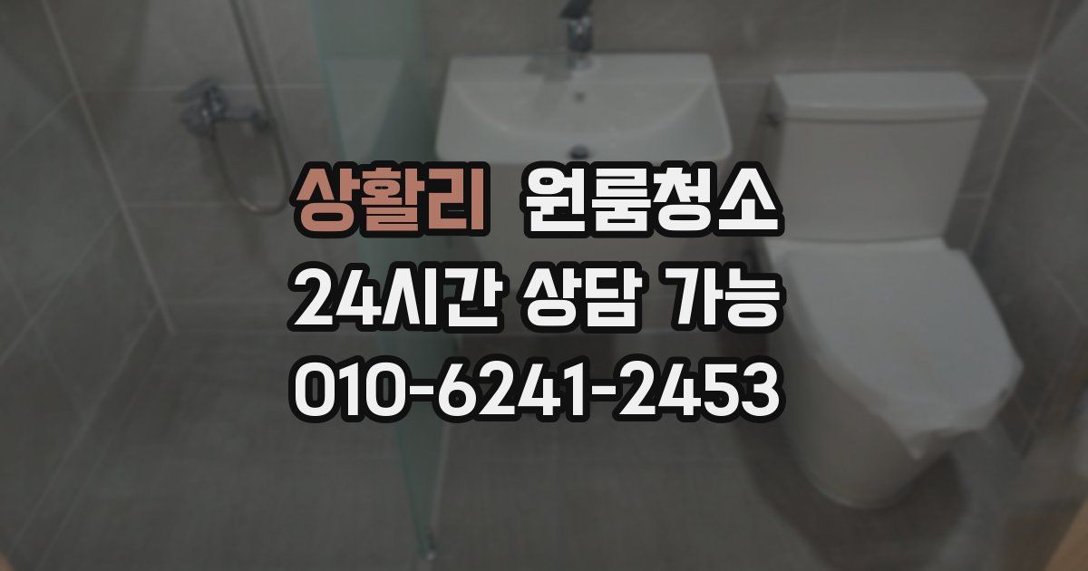 상활리 입주청소