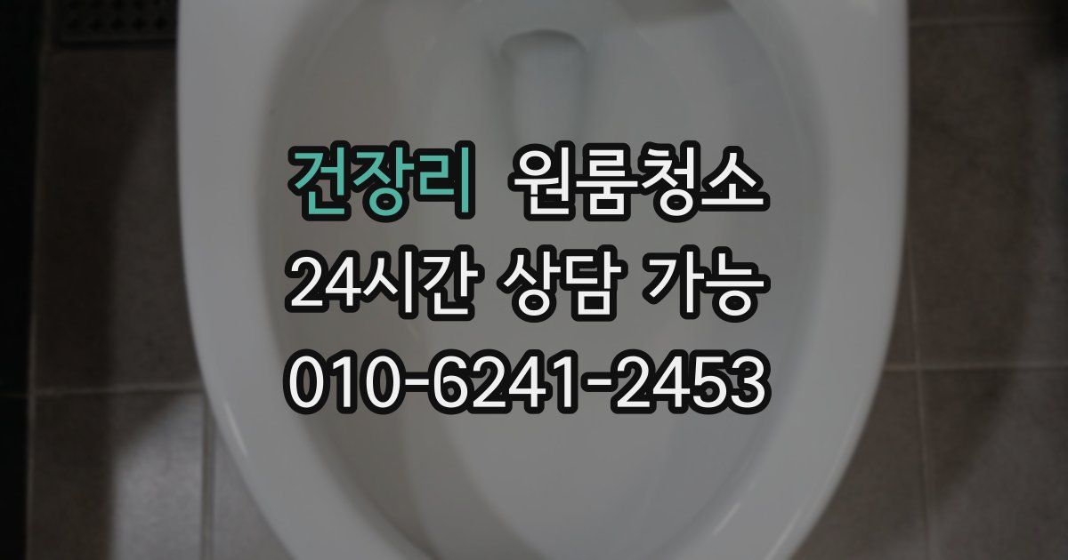건장리 입주청소