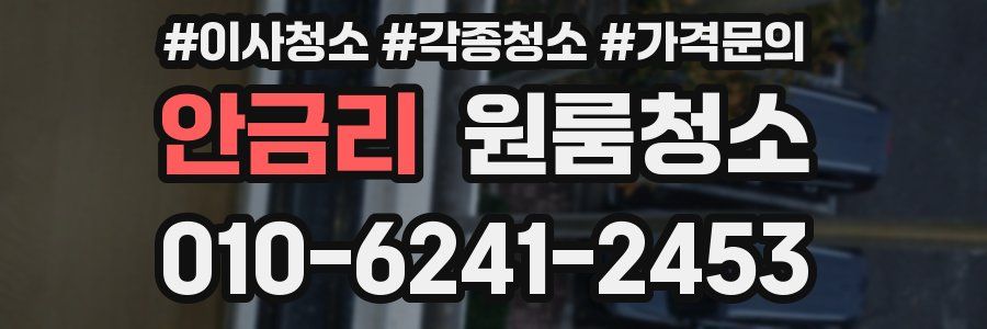 안금리 이사청소