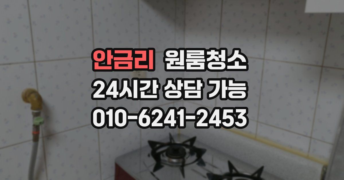 안금리 입주청소