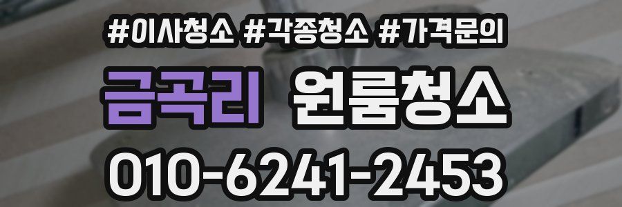 금곡리 이사청소