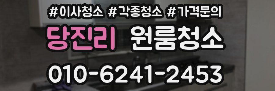 당진리 이사청소