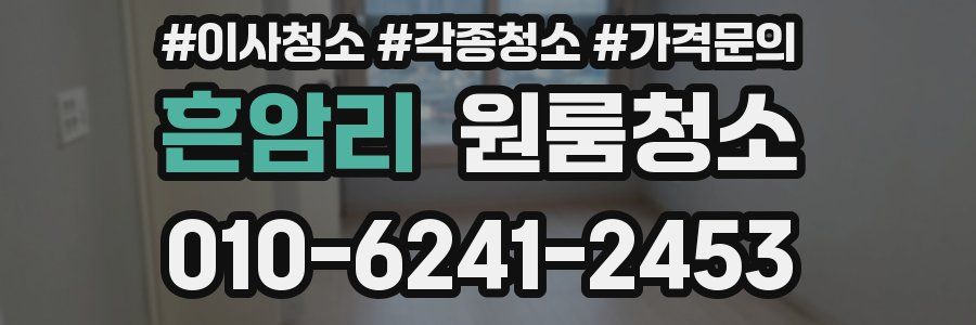 흔암리 이사청소