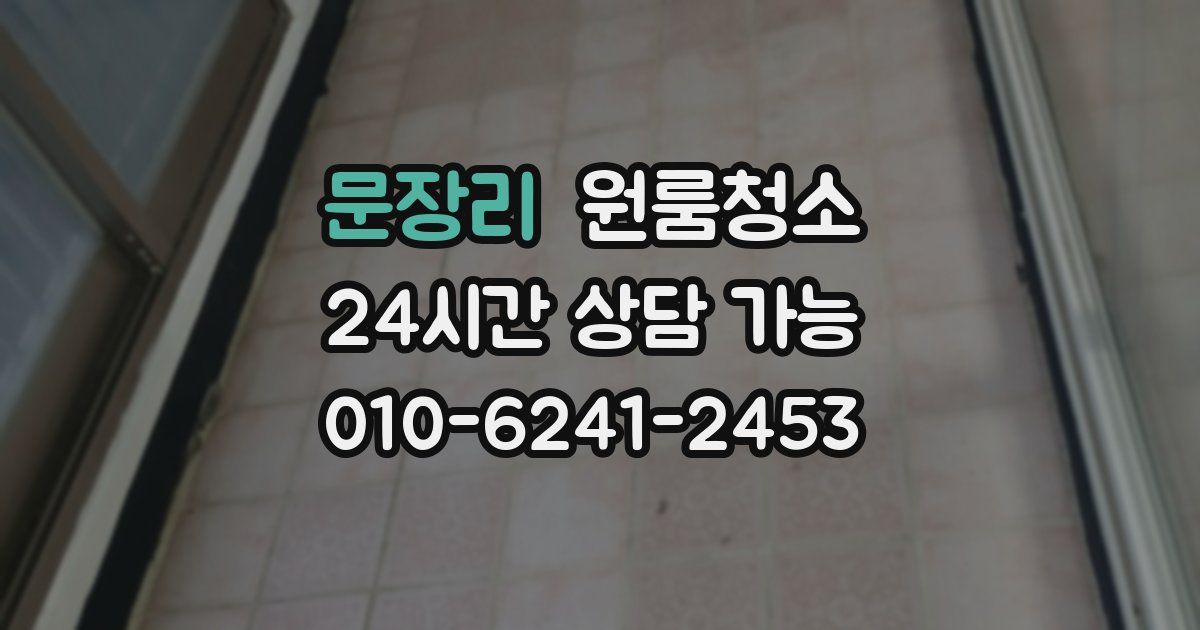 문장리 입주청소