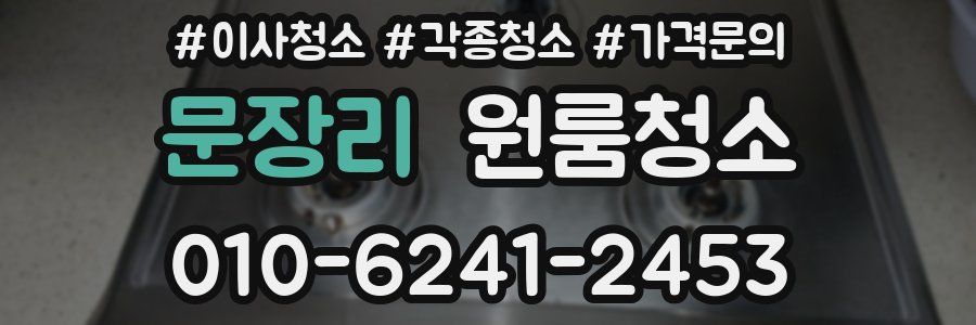 문장리 이사청소