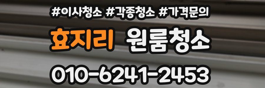 효지리 이사청소