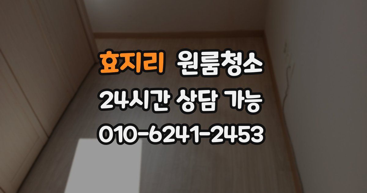 효지리 입주청소