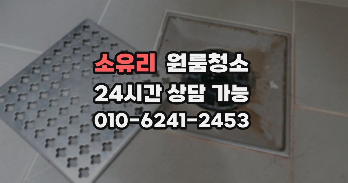소유리 입주청소
