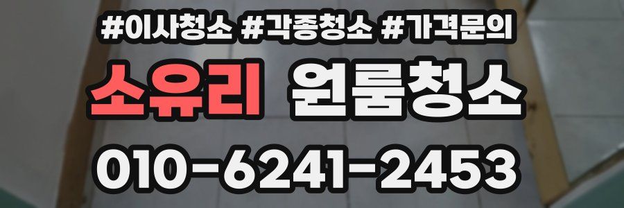 소유리 이사청소