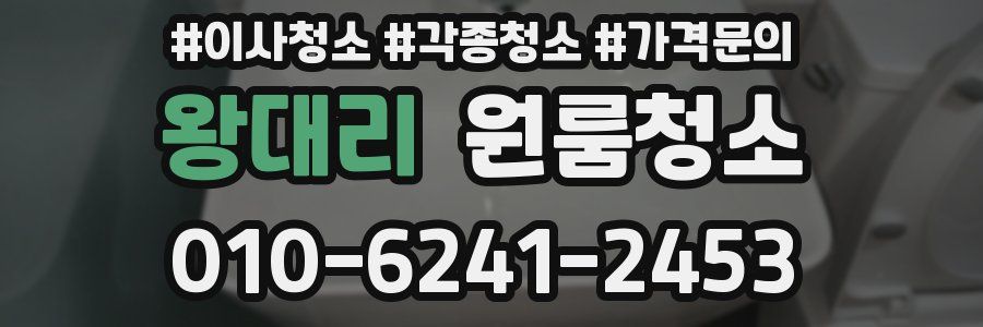 왕대리 이사청소