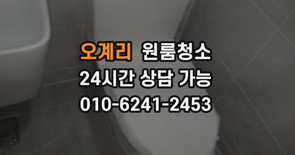 오계리 입주청소