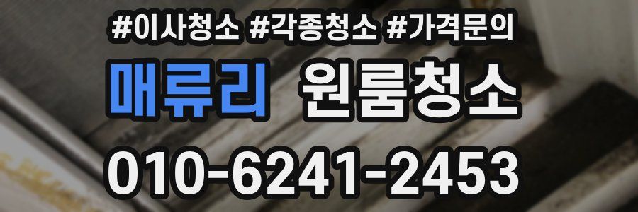 매류리 이사청소