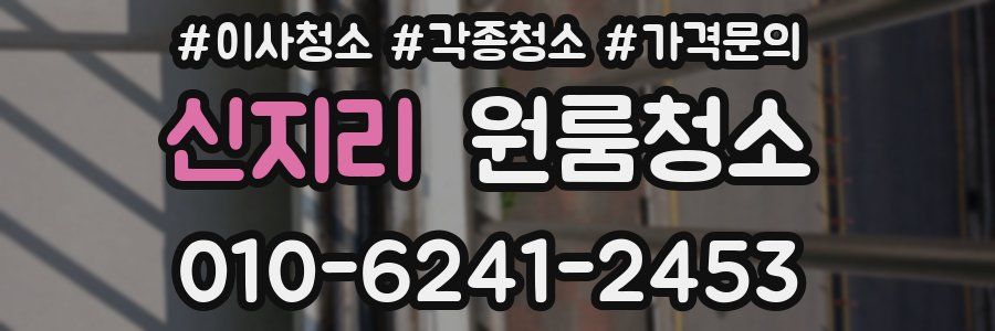 신지리 이사청소