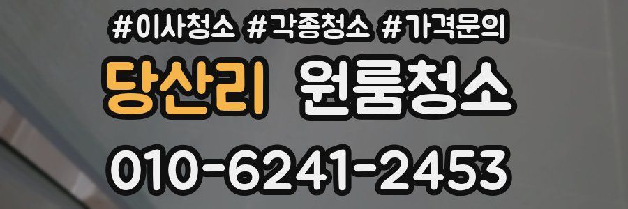 당산리 이사청소